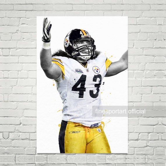 Troy polamalu kids clearance jersey