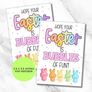 Ik hoop dat je Pasen bubbels van plezier is, paascadeaukaartje, afdrukbaar cadeaukaartje paasmandje, digitale download, bubbels van plezier