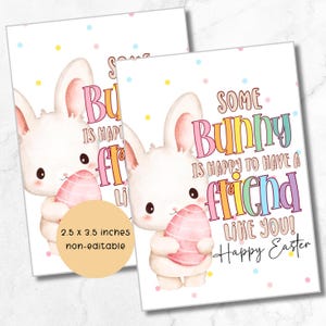 Ein Hase freut sich, einen Freund wie dich zu haben, bestickter Osteranhänger, Osterkorbanhänger, Freundschaftsanhänger, Geschenk für Mitschülerin