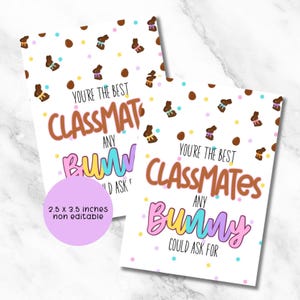 Étiquette-cadeau de Pâques imprimable, vous êtes les meilleurs camarades de classe qu'un lapin puisse demander, étiquette de Pâques, cadeau de remerciement pour un étudiant, cadeau d'école, cadeau d'école