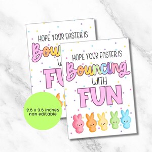 Afdrukbaar paaslabel, ik hoop dat je Pasen stuitert met een leuk cadeaulabel, paasmandje afdrukbaar cadeaulabel, paaskerklabel, digitale download