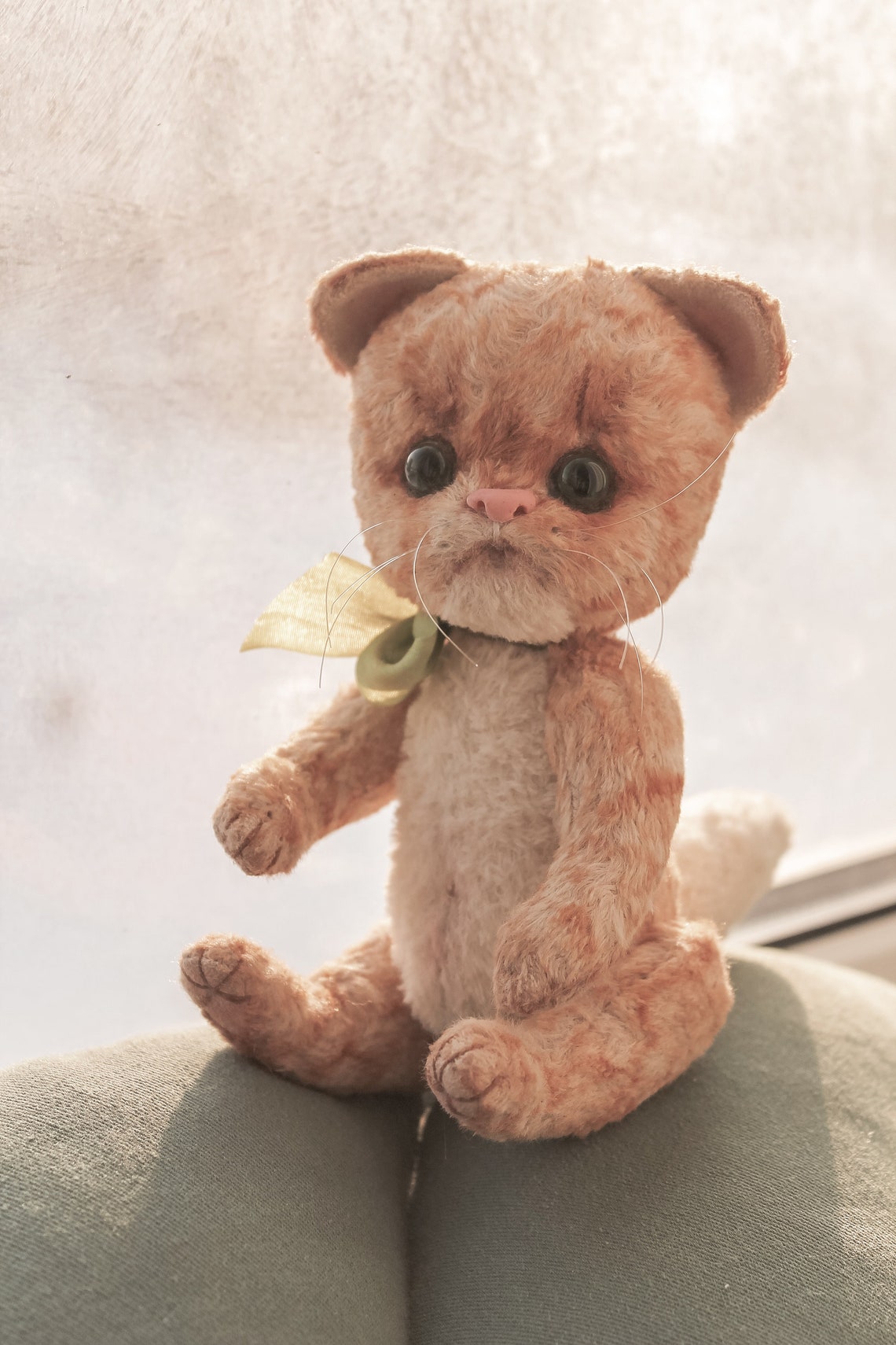 Teddy cat | Etsy