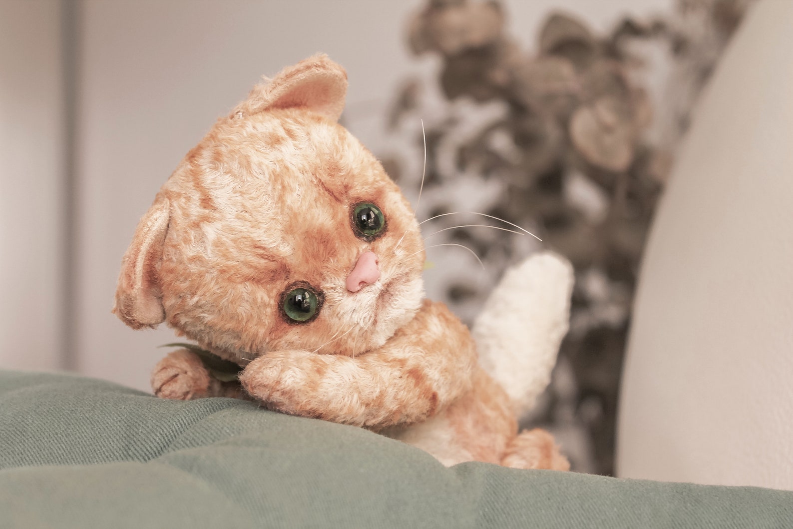 Teddy cat | Etsy