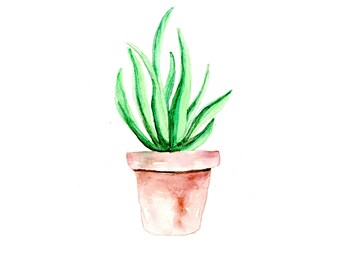 Potted Plant Watercolor Print