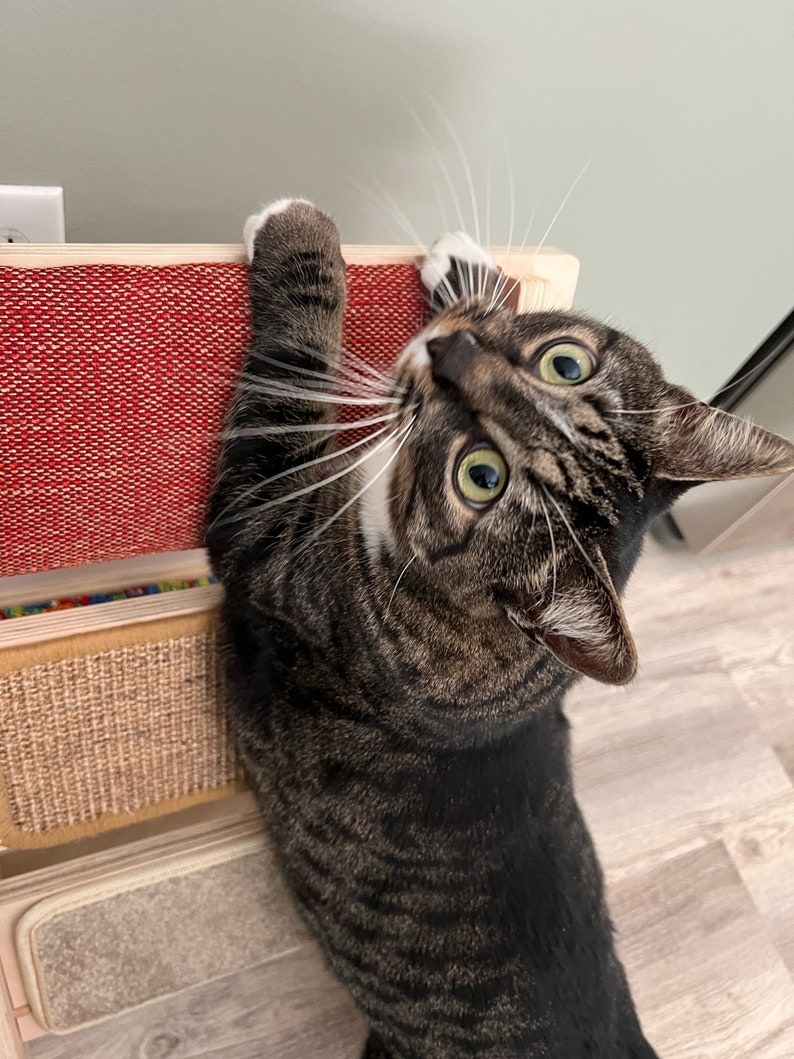 Scratchladder® Ultimate Cat Scratcher Red Velvet Catnip Etsy