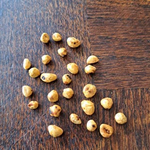 25 mini perles d'arbre XXS bijoux porte-bonheur loupe d'arbre œuf de druide œuf de serpent œuf de sorcière œuf de dragon bouton amulette naturelle