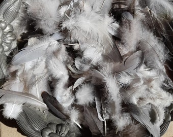 200 kleine Federn zum Basteln natürlich verloren diverse Federn weiß/grau/schwarz Coquille Engel Feder Hochzeit Kunsthandwerk Weihnachtsdeko