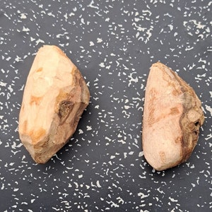 Può includere: Due pezzi di legno marrone chiaro con una texture ruvida e naturale. Il legno ha una tonalità marrone rossastra in alcune aree.