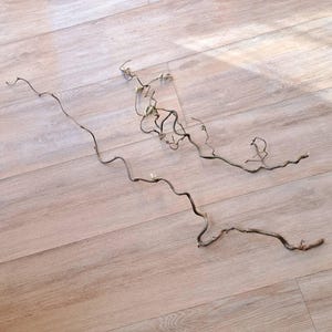 Può includere: Due rami di salice ricci, secchi e marroni, sono disposti diagonalmente su una superficie chiara con venature del legno. I rami hanno una forma naturale e organica, con piccoli boccioli e delicati ramoscelli. Un elemento naturale per l'arredamento.