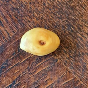 Beukenhouten kraal 3 cm helende energie sieraden geluksamulet boomknol knoestig druïdenei slangenei heksenei drakenei knop amulet