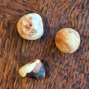 Pode incluir: Três pedras naturais lisas com diferentes formas e cores. Uma é bege claro com marmoreio castanho, outra é de cor castanha arredondada, e a terceira é uma mistura de bege, castanho e castanho escuro. As pedras estão sobre uma superfície de madeira.