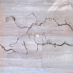 Può includere: Rami secchi e contorti di colore marrone chiaro, disposti su una superficie chiara con venature del legno. I rami hanno un aspetto delicato e naturale, con alcuni piccoli boccioli di colore chiaro. L'estetica generale è rustica e organica.