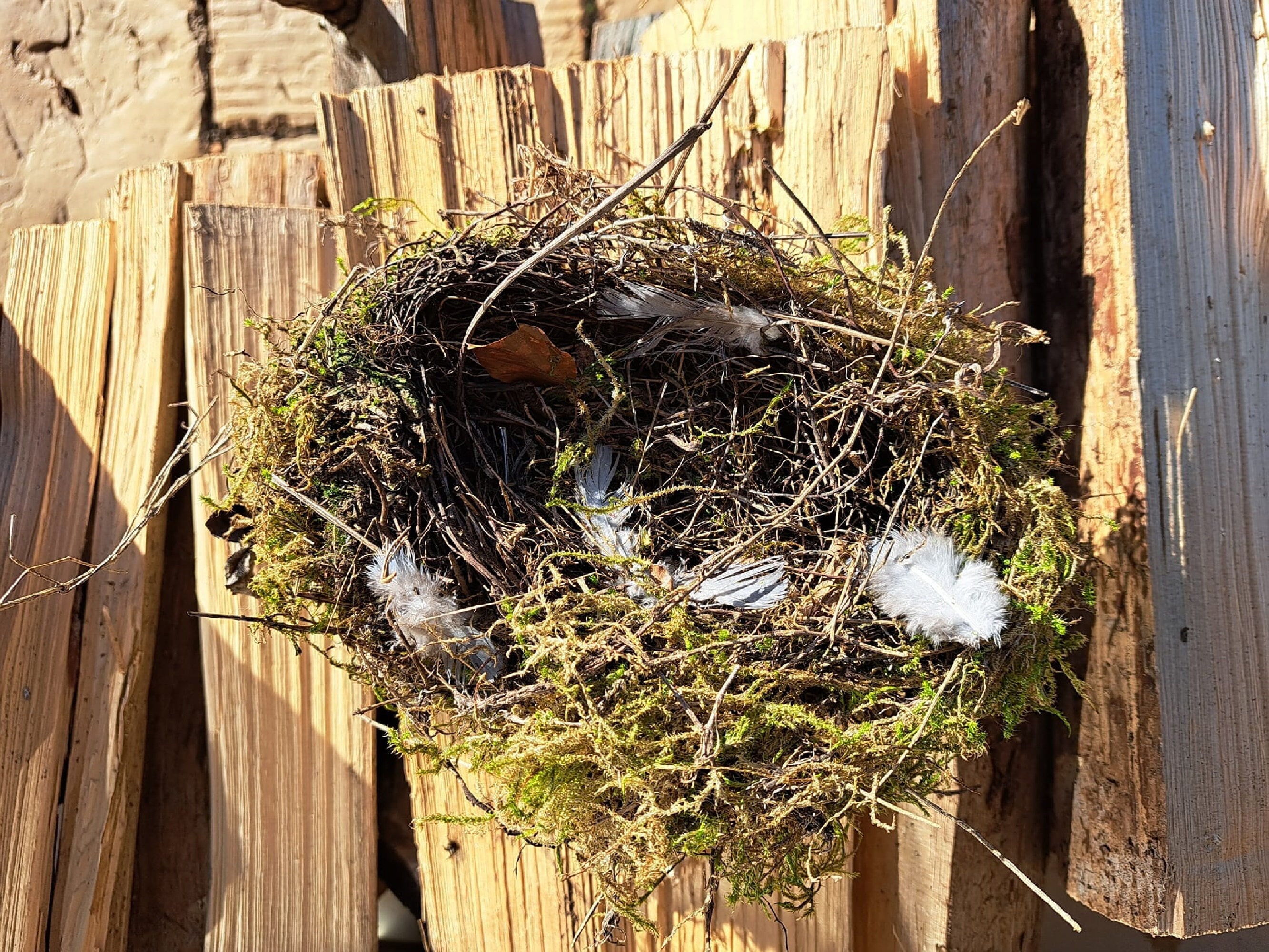 Décor de nid de colibris, Nid de colibri tissé à la main - Nid d'oiseaux  Cages à oiseaux Nid Herbe Oiseau pour fenêtre de jardin Décoration de  pelouse de maison extérieure