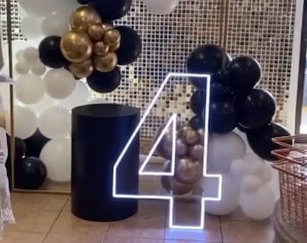 Neon Sign, Number Neon Signs for Birthdays, Partys, Kids all colors or color changing