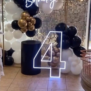 Neon Sign, Number Neon Signs for Birthdays, Partys, Kids all colors or color changing