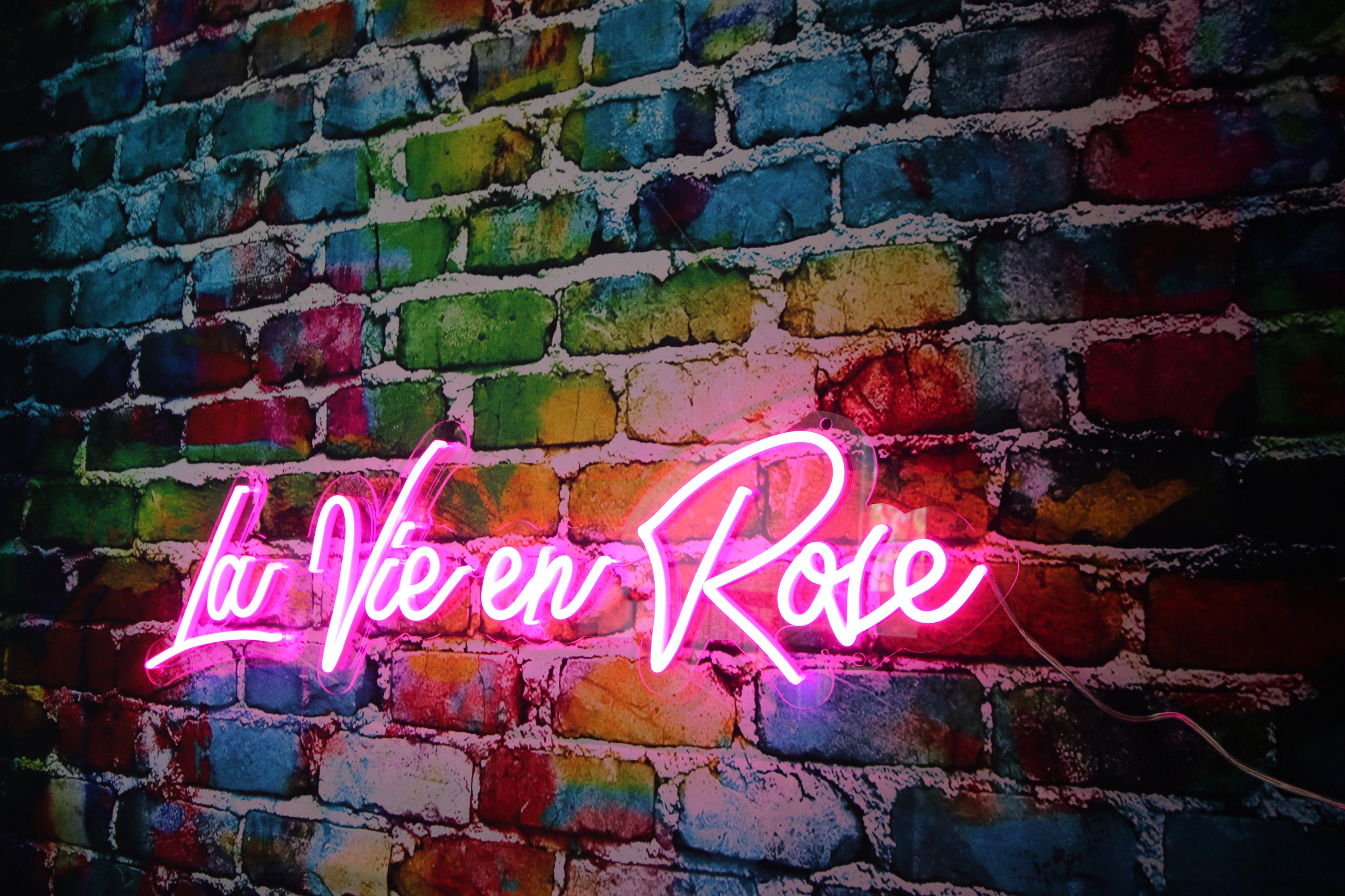 La Vie En Rose LED ネオンサイン ピンク ネオンライト**米国 La Vie En Rose LED ネオンサイン ピンク ネオンライト**米国