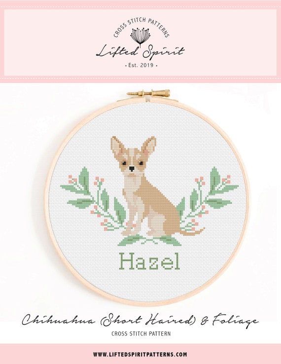 チワワページ MIX（チワワ×ペキニーズ） | さいたま市の有限会社ぽちプラザ