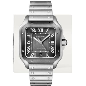 Correa de reloj vintage Cartier Santos de Large WSSA0037
