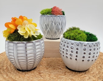 Maceta decorativa de musgo preservado, maceta de cerámica, decoración inspirada en la naturaleza, regalo de inauguración de la casa, decoración de estanterías, regalo para amantes de la naturaleza, planta artificial