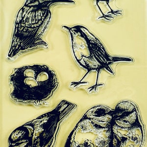 Carimbos de silicone transparentes Bird Swallow, planejador de relevo faça você mesmo, diário, artesanato, scrapbooking, decoração