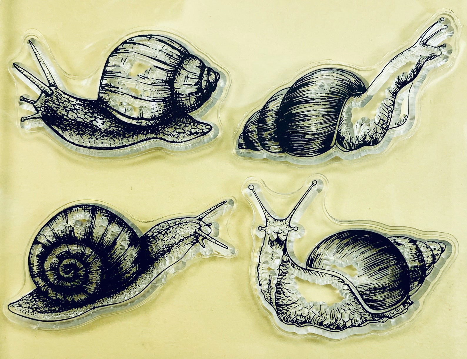 Snail Clear Silicone Stamps DIY Embossing Planner Journal Etsy
