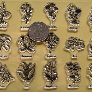 Plants and Herbs Clear Silicone Stamps DIY Embossing Planner, Journal ...