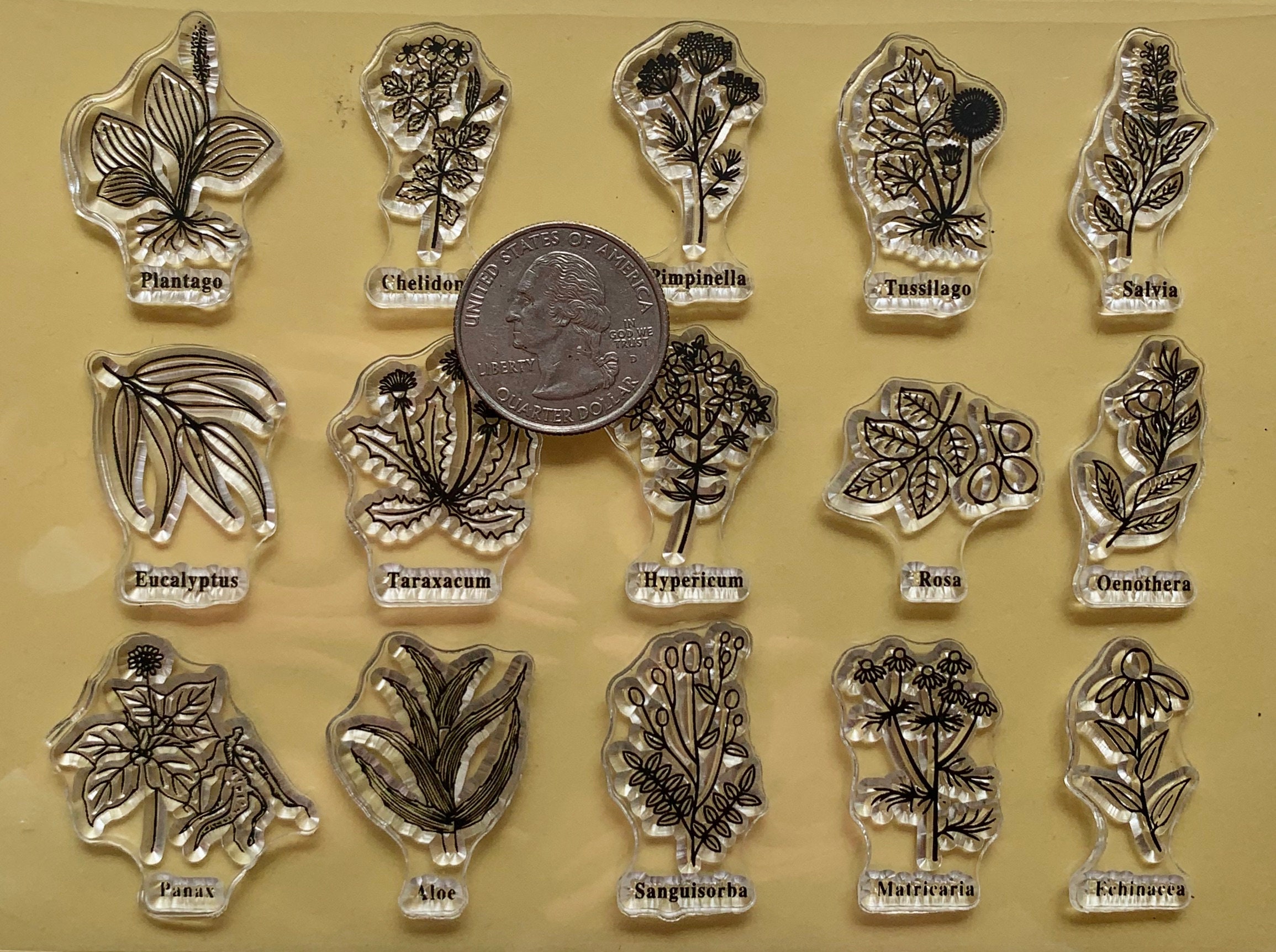 Plants and Herbs Clear Silicone Stamps DIY Embossing Planner, Journal ...