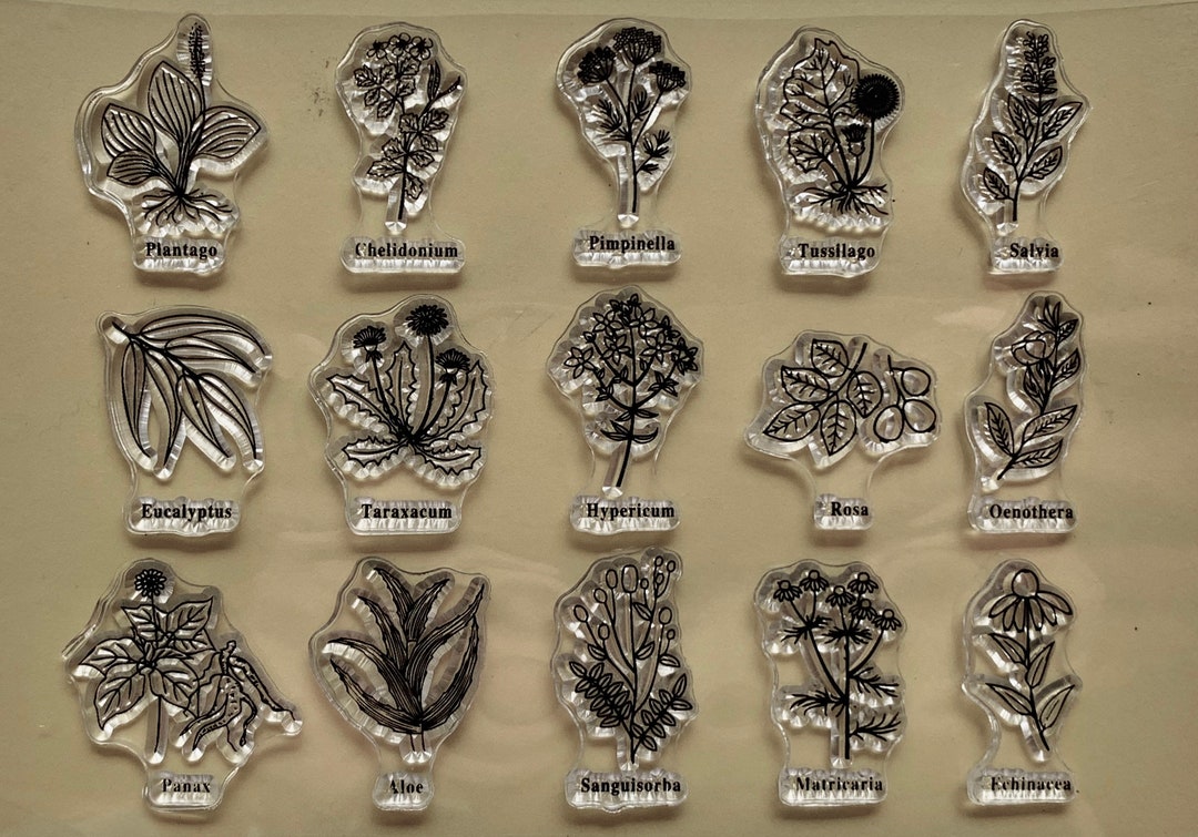 Plants and Herbs Clear Silicone Stamps DIY Embossing Planner, Journal ...