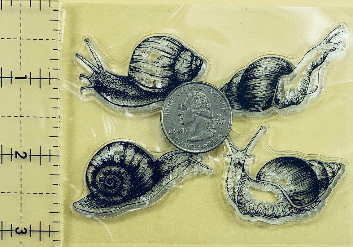 Snail Clear Silicone Stamps DIY Embossing Planner Journal Etsy