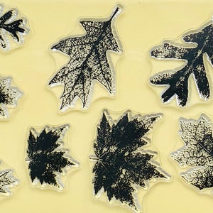 Leaf Maple Tree Leaves Clear Stamp Set - Planner, Journal, Craft, Scrapbooking, Decoration