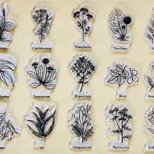 Sellos de silicona transparente de plantas y hierbas, planificador de grabado DIY, diario, manualidades, álbumes de recortes, decoración