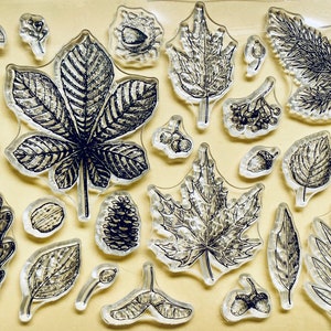 Leaf Clear Stamp Set - Planner, Journal, Craft, Scrapbooking, Decoration