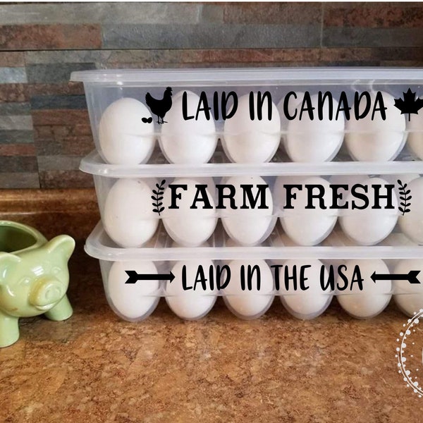 Reusable Egg Cartons Etsy