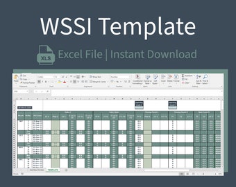 Excel WSSI | Intermediate Template | Excel and ME