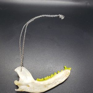 Jaw necklace Green