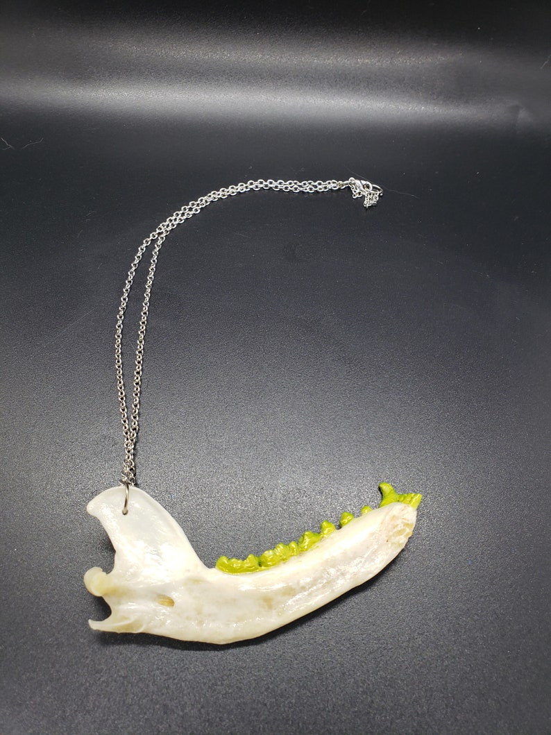 Jaw necklace Green