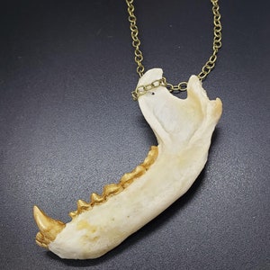 Jaw necklace Gold