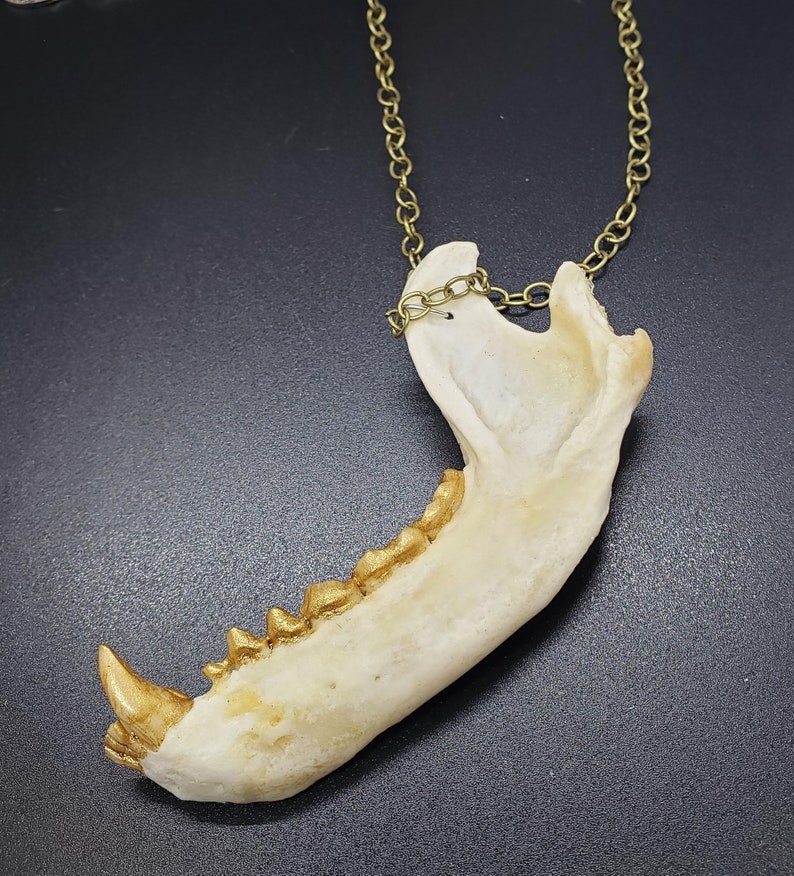 Jaw necklace Gold