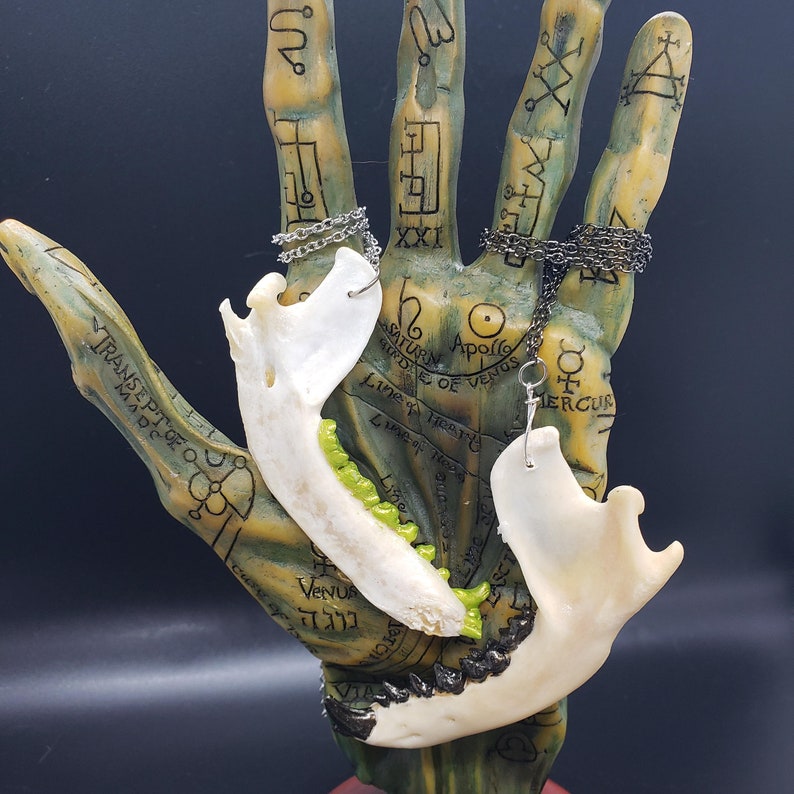 Jaw necklace image 1