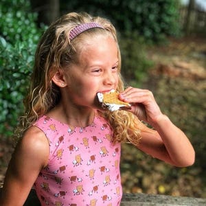 May include: A pink sleeveless top featuring a repeating pattern of cartoon s'mores characters, including graham crackers, chocolate squares, and marshmallows. The garment has a crew neckline and a fitted silhouette with a light pink base color.