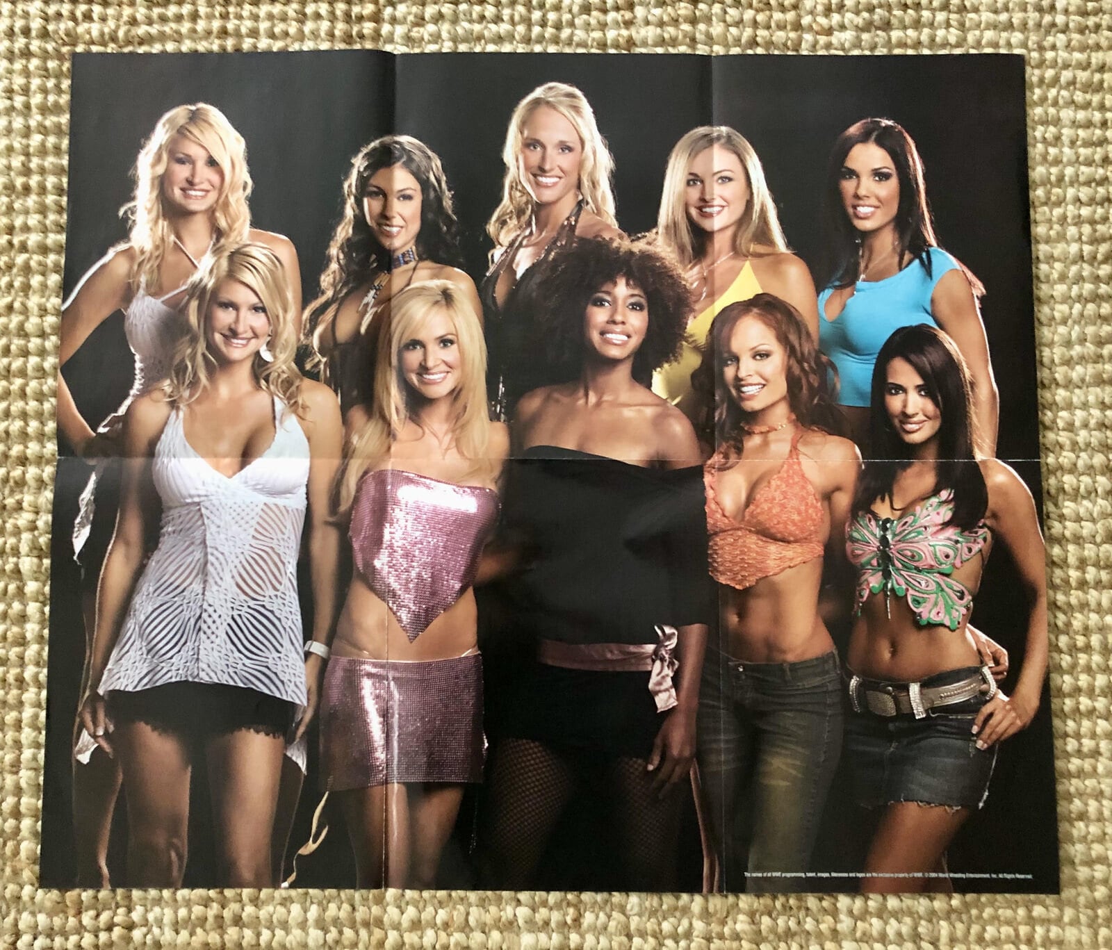 1600px x 1367px - Wwe Divas - Etsy