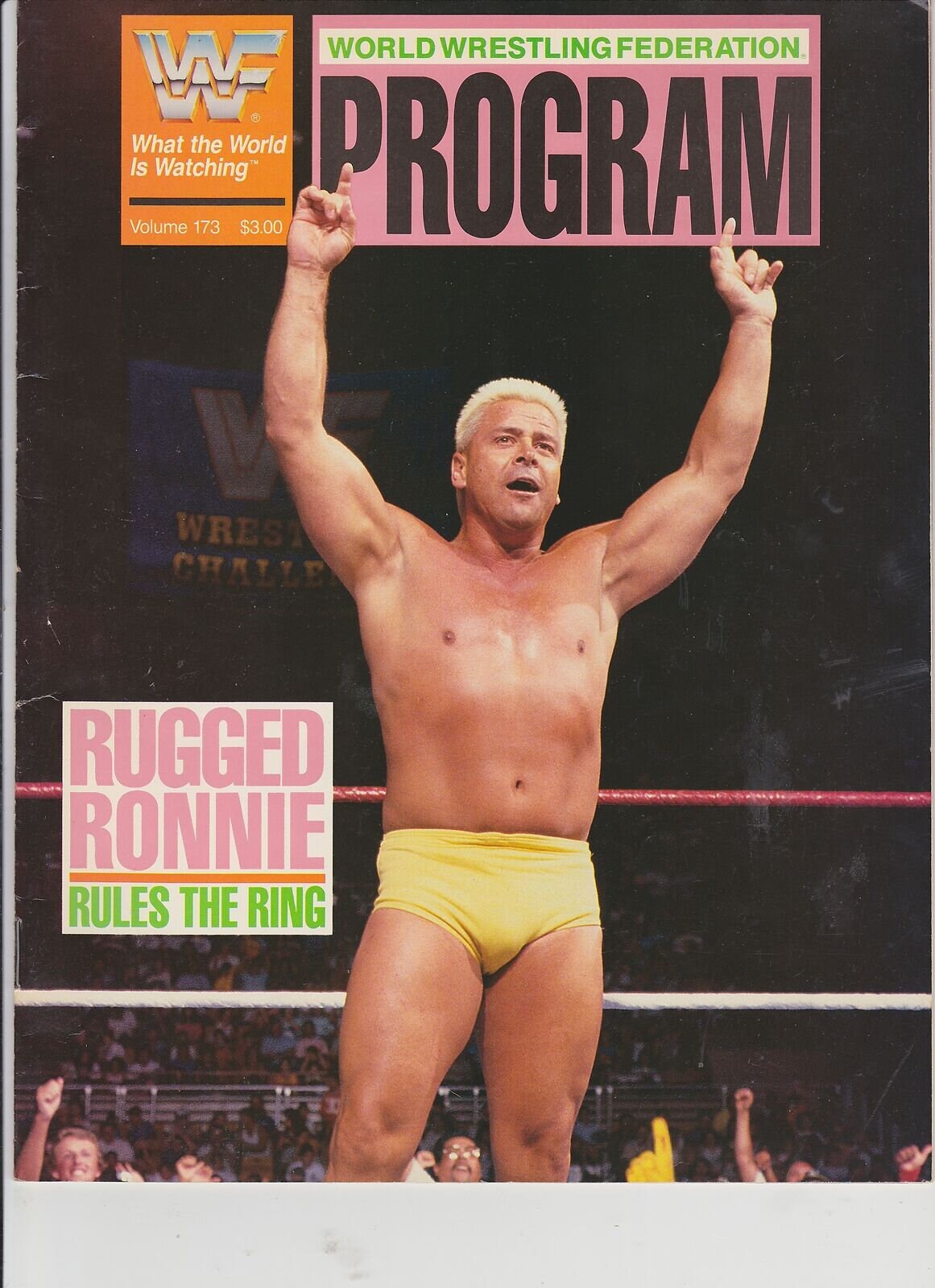 80s And 90s Wwf Wrestlers Lupon gov ph 80s-and-90s-wwf-wrestlers-lupon-gov-ph