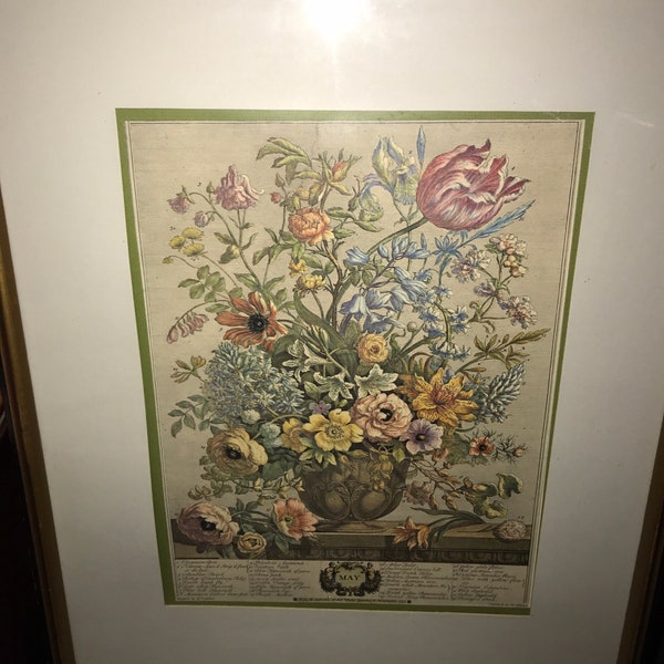 Framed May Flowers Art Print -12 MONTHS of FLOWERS- Winterthur Museum - 1700s Botanical Illustration