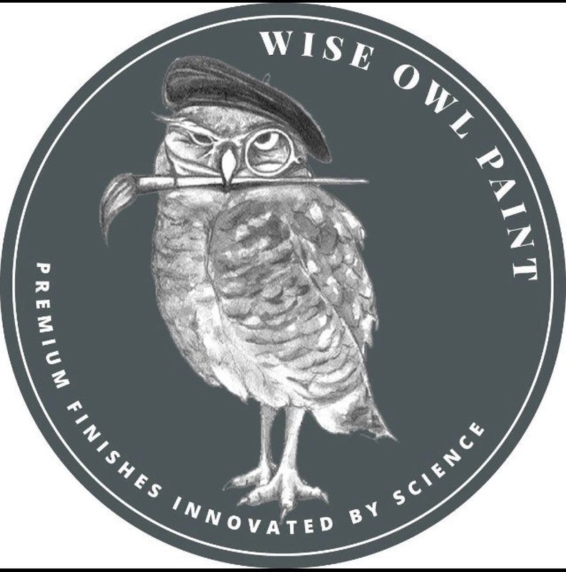 Op de afbeelding: Een zwart-witte illustratie van een wijze uil die een baret draagt en een penseel vasthoudt. De uil is omringd door de tekst "WISE OWL PAINT" en "PREMIUM FINISHES INNOVATED BY SCIENCE".