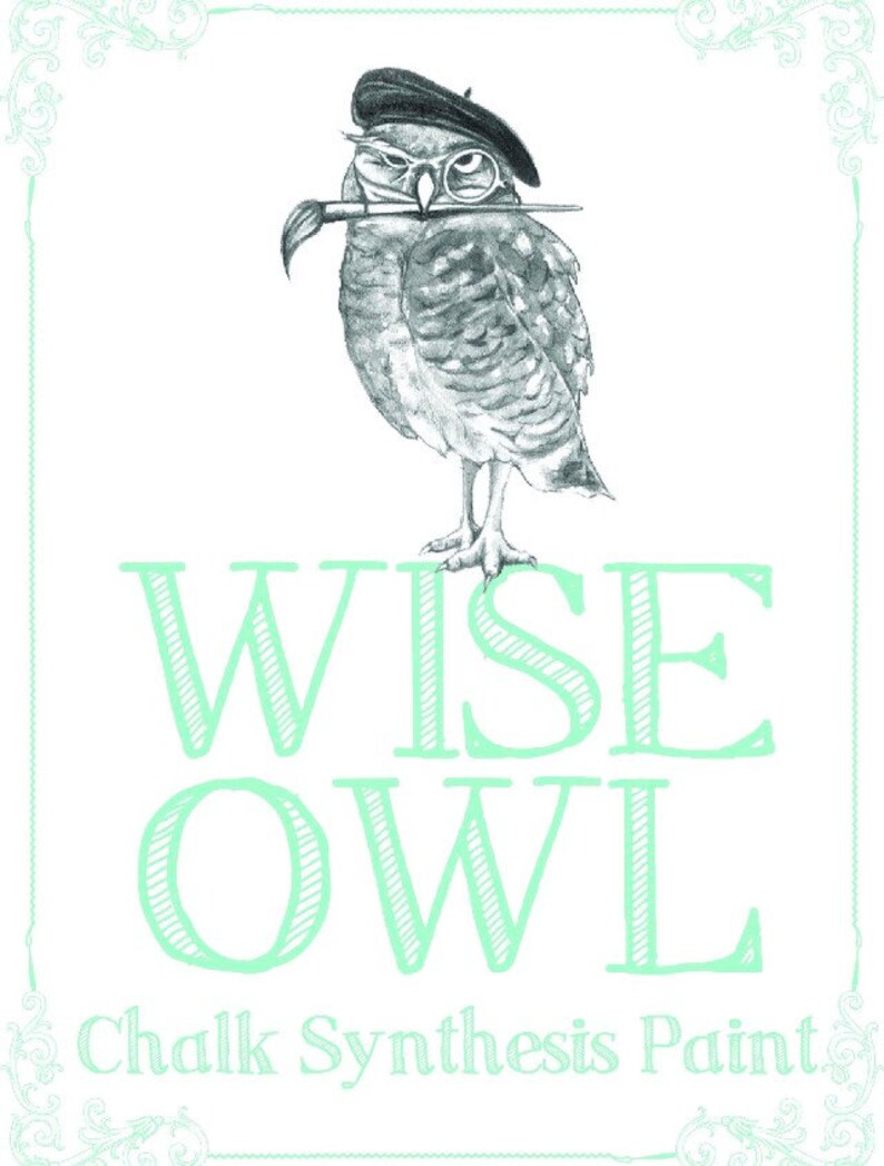 Op de afbeelding: Een zwart-witte illustratie van een wijze uil met een baret en een bril, die een penseel in zijn snavel houdt. De tekst "WISE OWL Chalk Synthesis Paint" staat onder de uil.