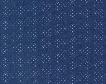 Denim And Daisies Indigo Eyelet #  20488-108  by Joanna Figeuroa of Fig Tree & Co for Moda