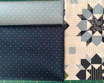 3+ Yds Nantucket Summer Swoon Cheater Panel & Blue  Dots Bundle By Camille Roskelley For Moda