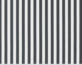 Coriander Colors Black & White Stripe by Corey Yoder For Moda