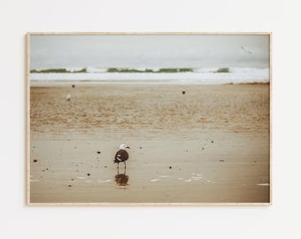 Seagull's View Photography Print