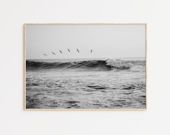Impresión fotográfica en blanco y negro de gaviotas sincronizadas